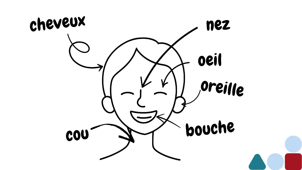 Visual School Of Language lesson